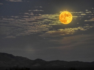 Joyce_05 Harvest Super Moon.jpg.jpg